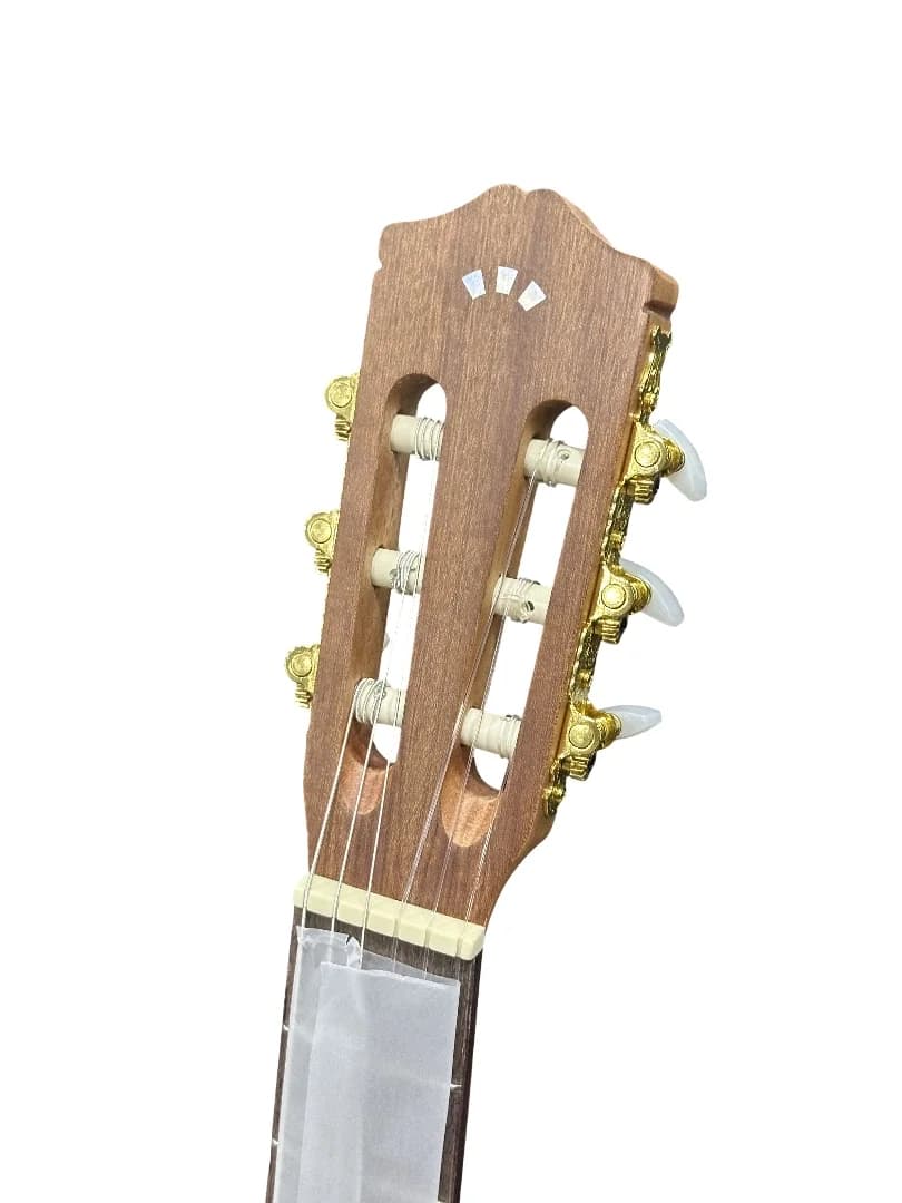 Guitare Cordoba C1 M 5