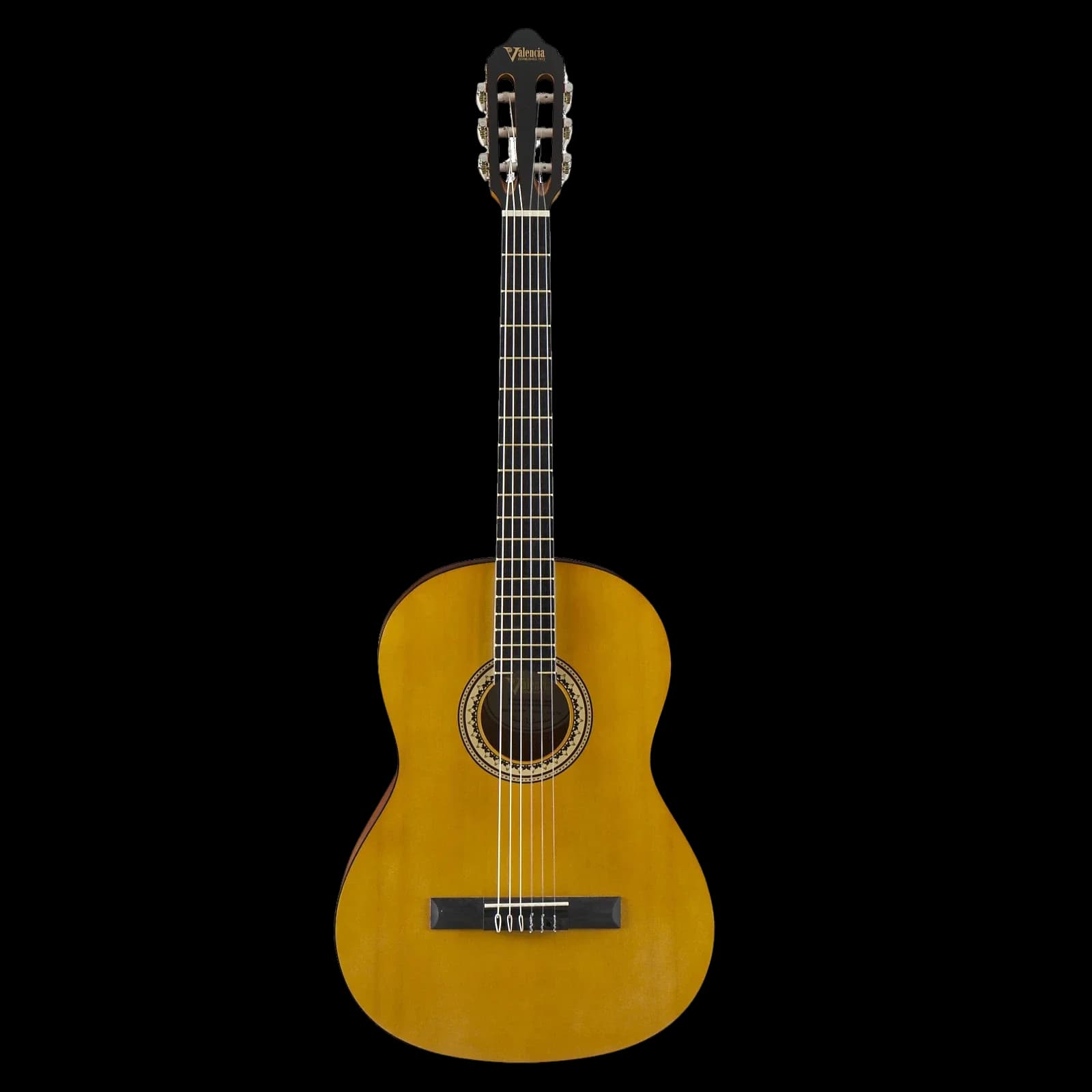 Guitare Valencia VC204