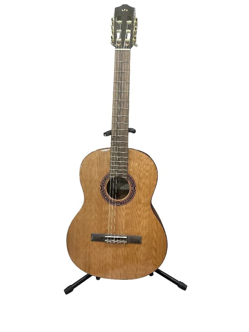 Guitare Cordoba C5 CD